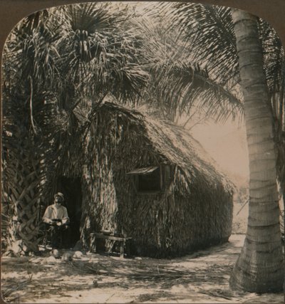 Thatched Cottage in Cocoanut Grove, Florida, U.S.A. by Unbekannt