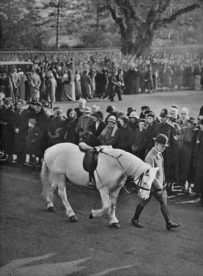 The Empty Saddle: King George