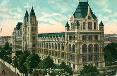 The National History Museum, London, c1910 by Unbekannt
