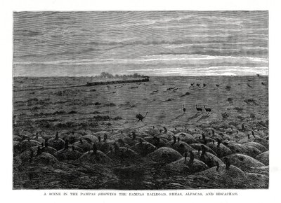 The Pampas Railroad, South American Lowlands, 1877 by Unbekannt