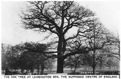 The Oak at Leamington Spa, the Supposed Centre of England by Unbekannt