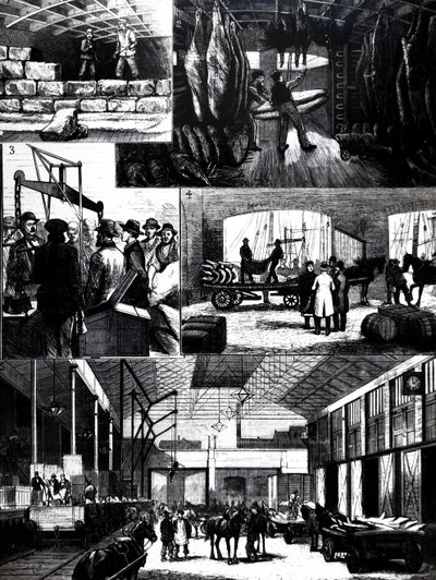 The process of moving chilled meat from the US to Liverpool by Unbekannt