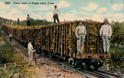 Train Load of Sugar Cane Leaving the Field, Cuba by Unbekannt