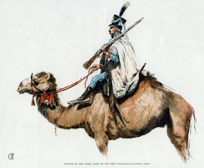 Trooper of the Camel Corps of the First Napoleon