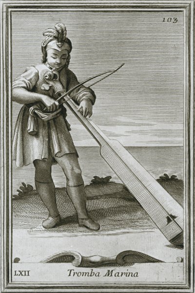 Trumscheit Tromba Marina, Engraving from F. Bonanni