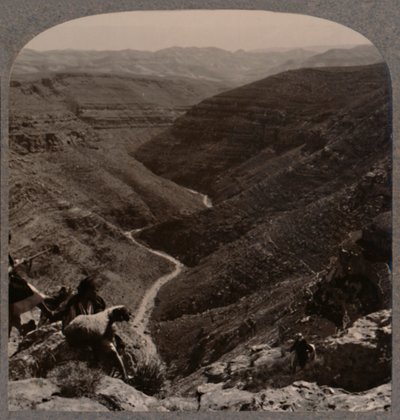 Valley of the Arno, Shepherd and Sheep in Foreground, c1900 by Unbekannt