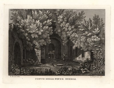 View of the spring of the nymph Egeria, Parco Cafarella, Rome by Unbekannt