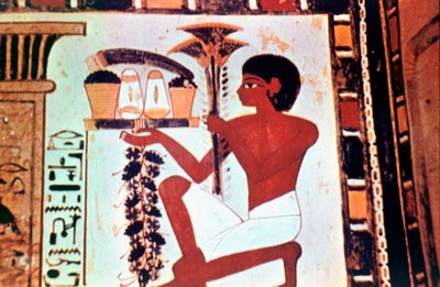 Wall Painting (detail), Servant with Offerings, Chapel of Menna, Thebes by Unbekannt