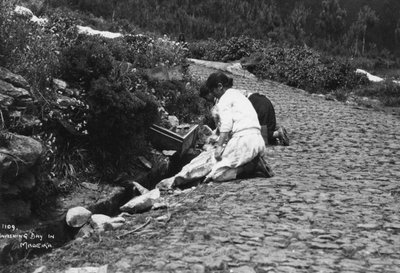 Washing day in Madeira, Portugal, c1920s-c1930s by Unbekannt