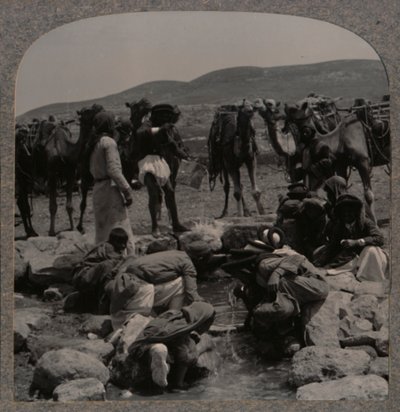Watering camels at Jacob