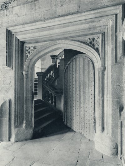 Waynflete