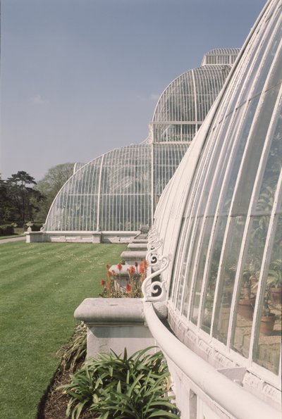 Section of the Palm House, designed by Decimus Burton by Unbekannt Unbekannt