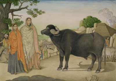 Two village women and a buffalo in the village of Rania, c.1816, Indian by Unbekannt Unbekannt