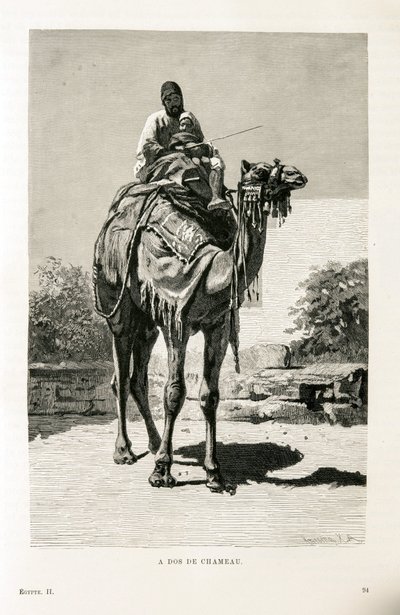 An Egyptian and His Child on a Camel - Illustration from the Atlas of Egypt by Unknown