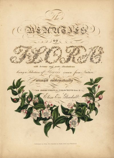 Calligraphic title page with botanical vignette by Unbekannt