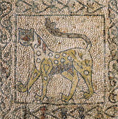 Church of Saint John Evangelist, Fourth Crusade, Fragments of mosaic floors representing spotted panther, Ravenna, Emilia-Romagna, Italy by William M. Timlin