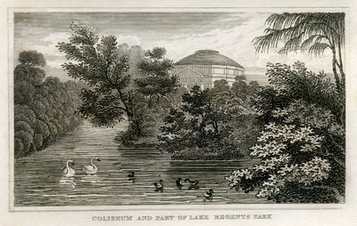 Coliseum and Lake, Regent