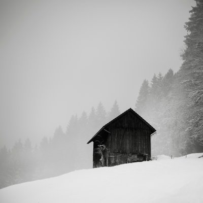 The Secret of the Clearing, Oberstaufen, Germany, 2013 by Leopold Blonder