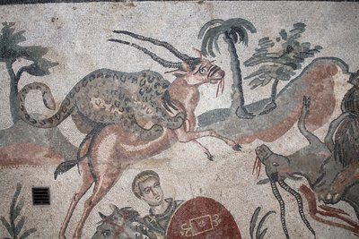 Detail of the great hunt mosaic. A leopard attacking a gazelle. 3rd - 4th century. Roman Villa of the Casale, Sicily. UNESCO site. by William M. Timlin