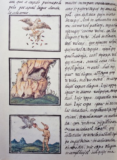 Eagles, Page from the Florentine Codex by William M. Timlin