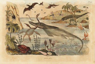 Extinct Dinosaurs, Ichthyosaur, Plesiosaur, Marine Animals, Pterodactyls, Lizards, Turtles, Insects, Fish, Squid, Molluscs, etc by Unbekannt