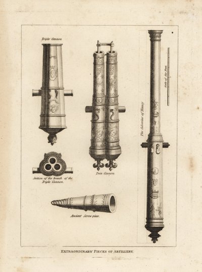 Extraordinary pieces of artillery: view and section of the culverine of Nancy, a triple cannon, a twin cannon and an ancient screwpiece by Unbekannt
