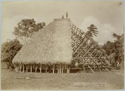 House Building in Samoa, c.1875 by Unbekannt