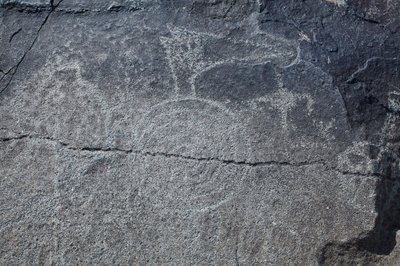 Indian Petroglyphs - Animal and Symbolic Representation - Petroglyph National Monument - Albuquerque, New Mexico, USA by William M. Timlin
