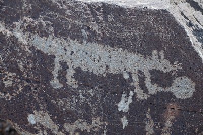 Indian Petroglyphs representing animals - Petroglyph National Monument - Albuquerque, New Mexico, USA by William M. Timlin