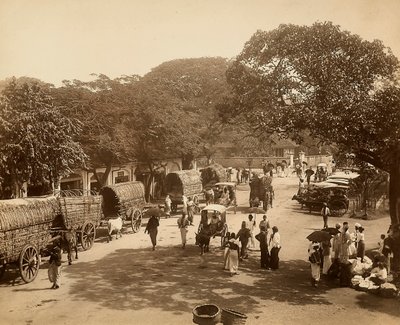 Indian road amongst the trees with carts and people by Unbekannter Künstler