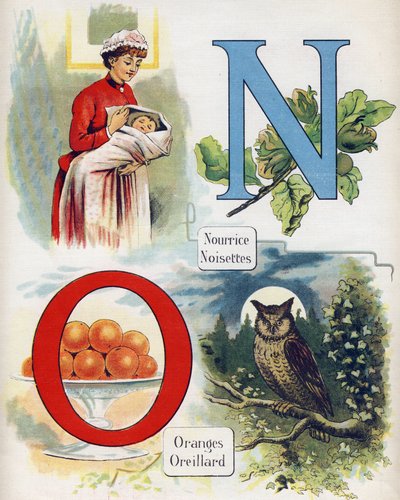 Letter N and O: Nurse, Hazelnut, Oranges and Ear. Engraving in 