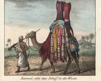 Man from North Africa, gun of a musket, driving a camel load of blankets. Lithography for the book: “Galerie complete en tableaux fideles des peuples d