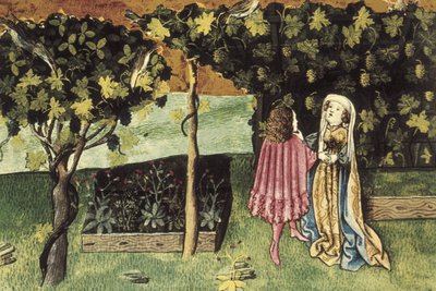 Miniature on grapes, fruit that reduces abdominal fat and thins by Unbekannter Künstler