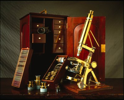 Powell and Lealand brassware microscope with a wooden box and various accessories by Unbekannt