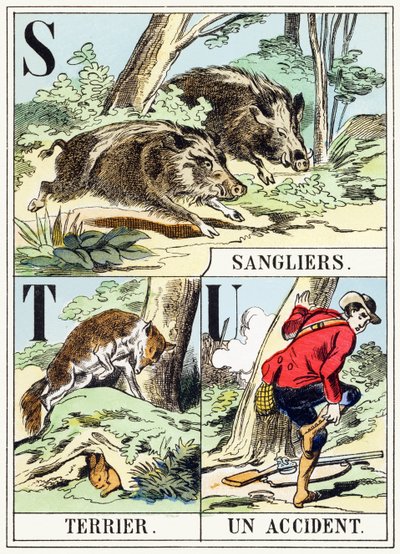 S T U: Boar, Terrier, An Accident - The Hunting Alphabet, c.1890 by Unbekannt