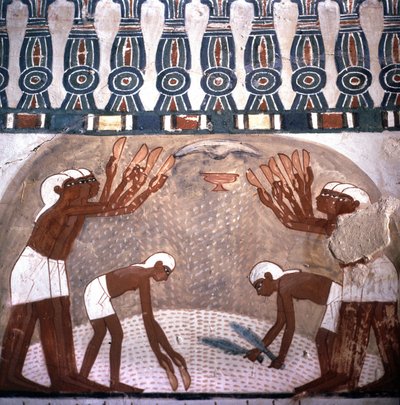 Scene of wheat wrecking, tomb of Nakht, room of the tomb of nobles. Valley of the Nobles. Site of Luxor, Egypt by Leopold Blonder