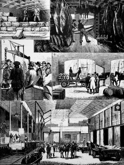 The process of moving chilled meat from the US to Liverpool by Unbekannt