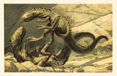 Two Battling Dryptosaurus aquilunguis (lithograph) by Unbekannter Künstler