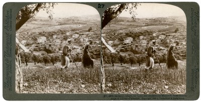 Bethany, as seen from the eastern slope of the Mount of Olives, Palestine, 1899 by Underwood and Underwood