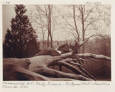 Beatrice Thom on Tree, Haddonfield, New Jersey by Unidentified