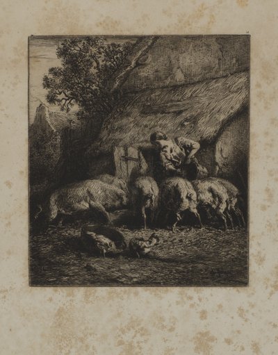 Woman Feeding Hogs by Unidentified
