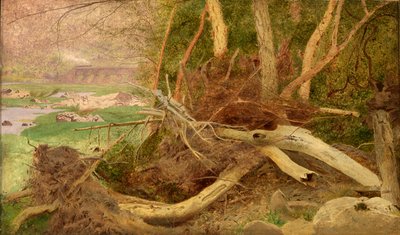 Wooded Landscape with Bridge by Unidentified