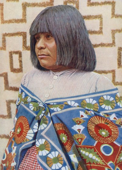 Squaw of the Walapai tribe in Arizona by Unknown
