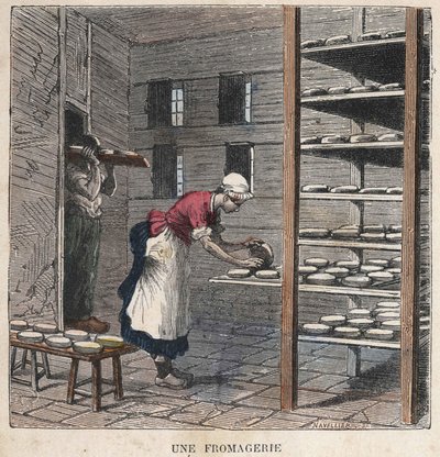 A Cheese Factory. 19th century illustration. Bianchetti Collection by Unknown artist