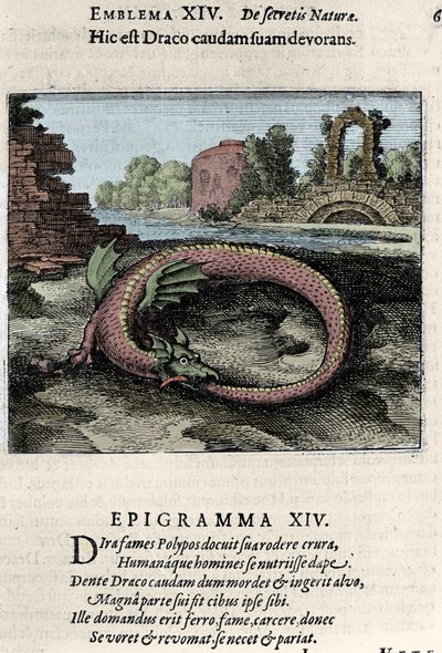 A dragon beating his tail (or Ouroboros). Plate taken from the trek of alchemy 
