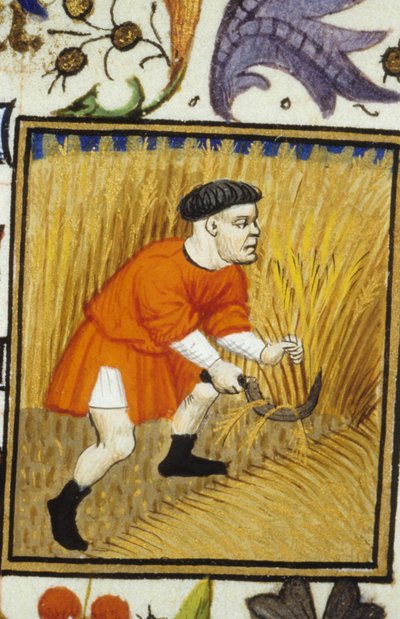 Allegorical representation of July. Harvest: a peasant mowing golden wheat. Miniature of a 14th century manuscript by Unknown artist