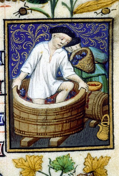 Allegorical representation of September. Harvest, grape stripping. Miniature of a 14th century manuscript by Unknown artist