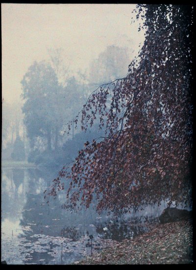 Autumn Landscape, Lake and red tree in the fog - circa 1920 by Unknown Artist