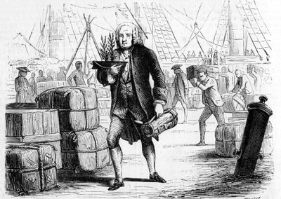 Bernard de Jussieu (1699-1777), French botanist and naturalist, reporting cedar from Lebanon by Unknown artist