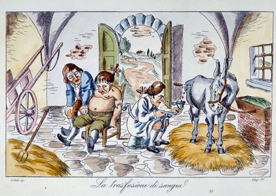 Blood Transfusion: A Doctor Injects Horse Blood into a Patient. Cartoon from the 19th Century by Unknown artist